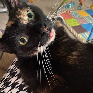 Meet your Posher, Denise